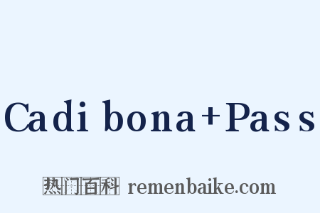 Cadibona+Pass是什么意思的图片